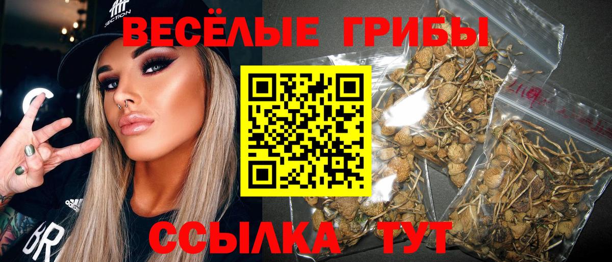 Галлюциногенные грибы GOLDEN TEACHER Ефремов