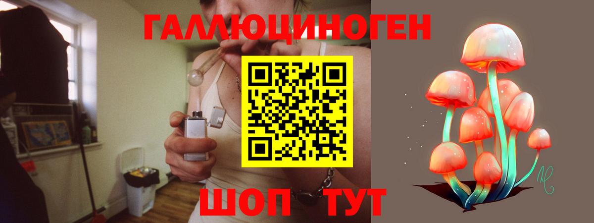 Ефремов  Псилоцибиновые грибы мицелий  Галлюциногенные грибы мицелий  Вход с VPN 
